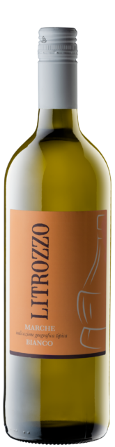 Collestefano Marche Bianco Litrozzo 2024