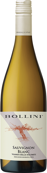 Bollini Sauvignon Blanc Vigneti delle Dolomiti IGT